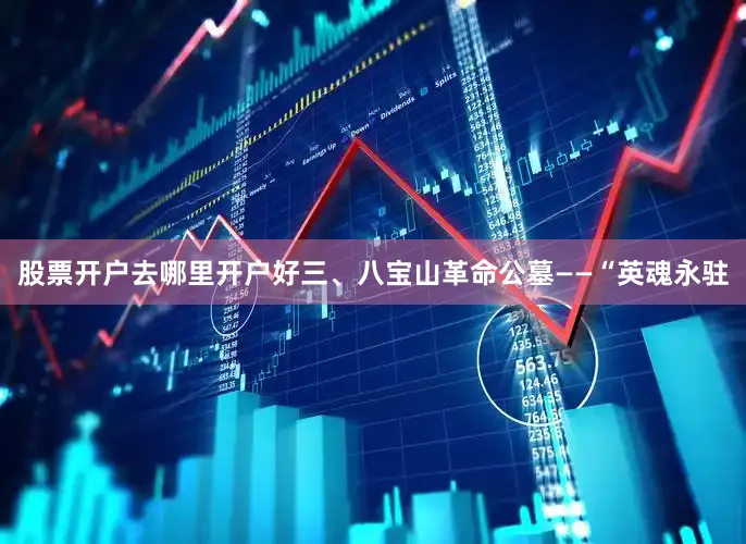 股票开户去哪里开户好三、八宝山革命公墓——“英魂永驻